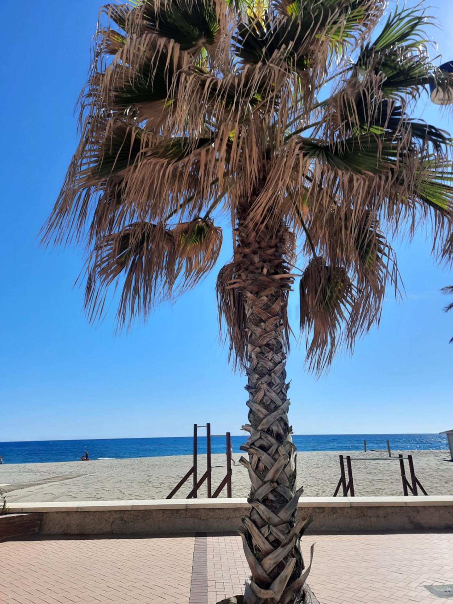 Fuengirola Apartment Carvajal Front Line Primera Linea Esterno foto